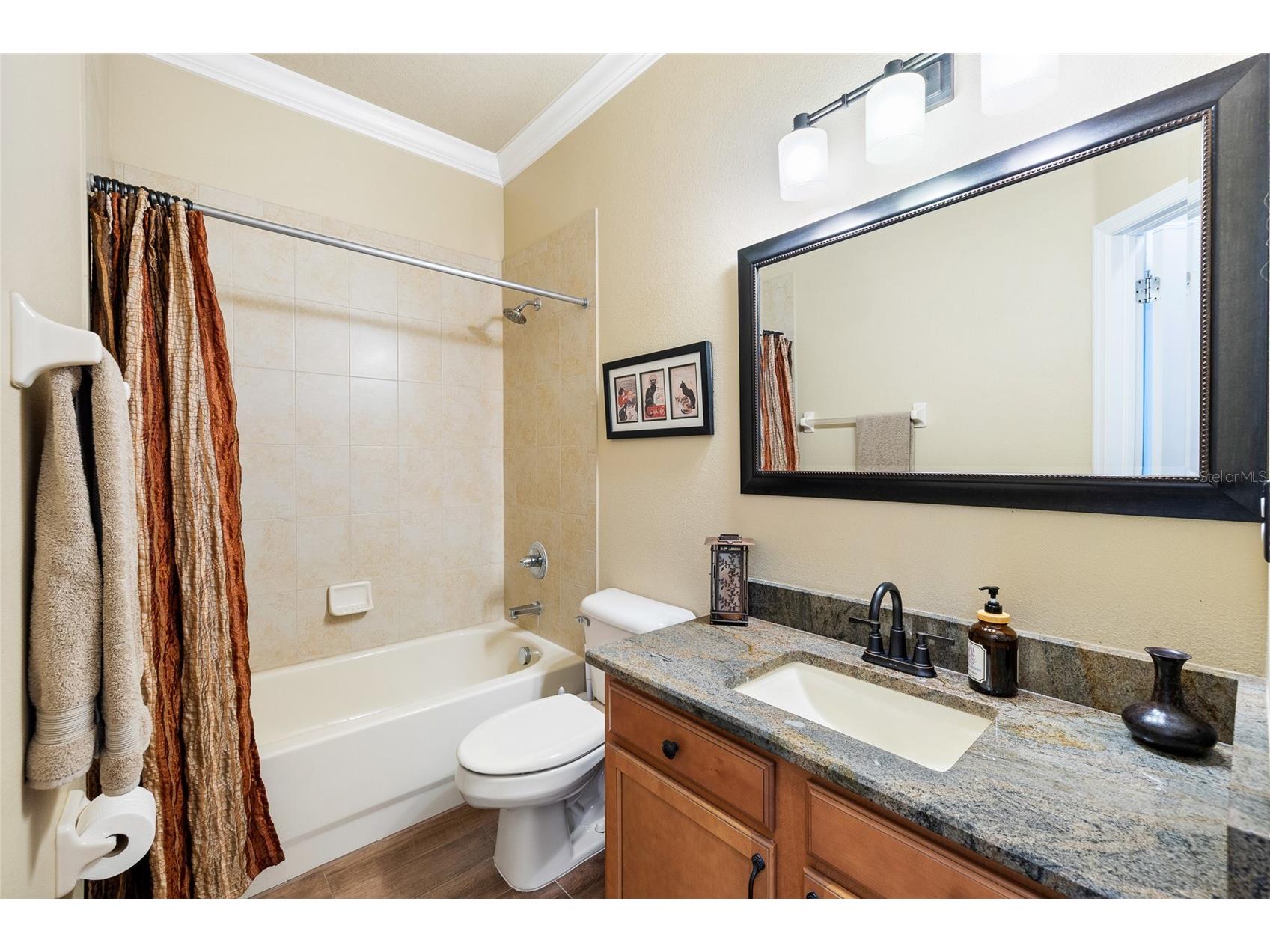 15841 Starling Water Drive Lithia FL 33547 TB8509853 image27