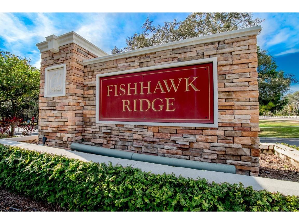 15843 Fishhawk View Drive Lithia FL 33547 TB8440442 image38