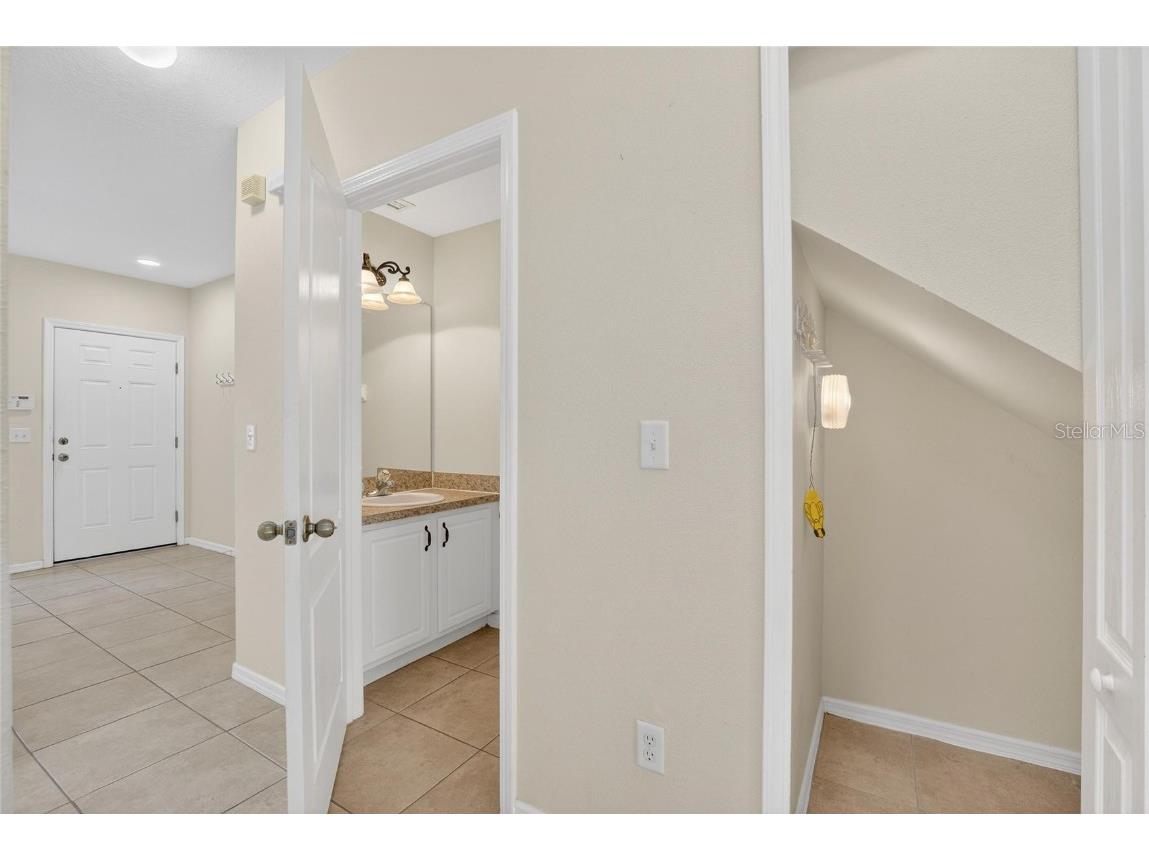 15843 Fishhawk View Drive Lithia FL 33547 TB8453627 image20