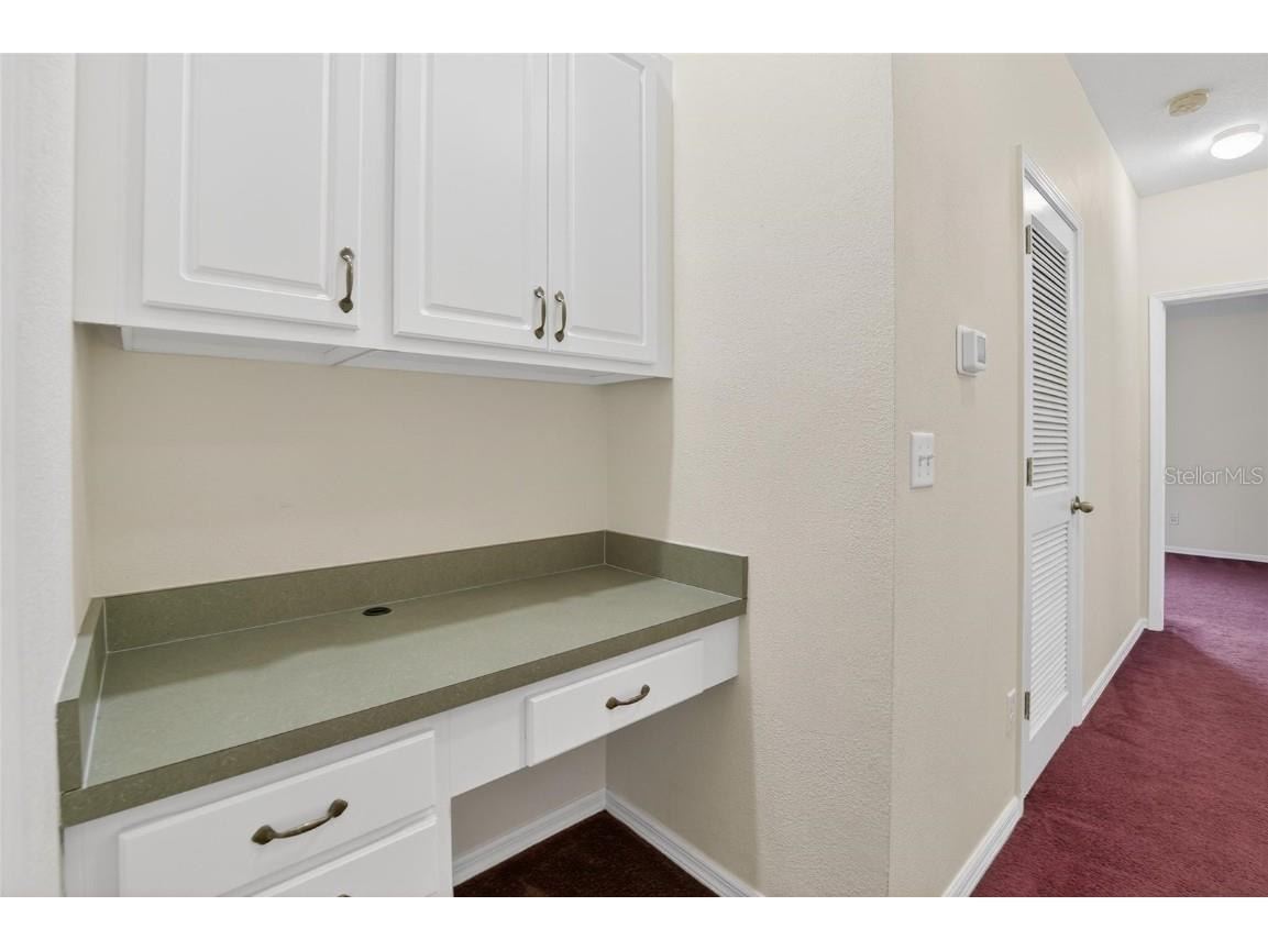 15843 Fishhawk View Drive Lithia FL 33547 TB8453627 image34