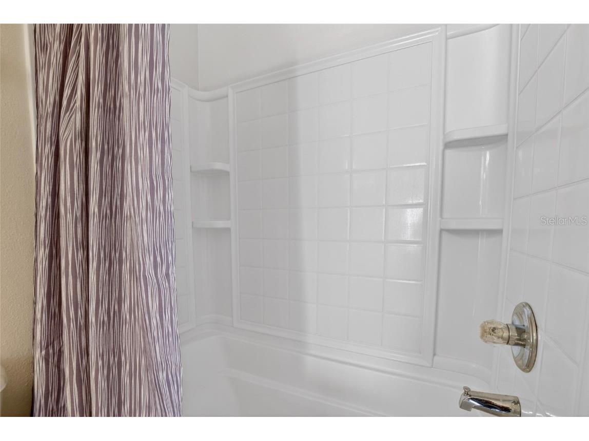 15843 Fishhawk View Drive Lithia FL 33547 TB8453627 image40