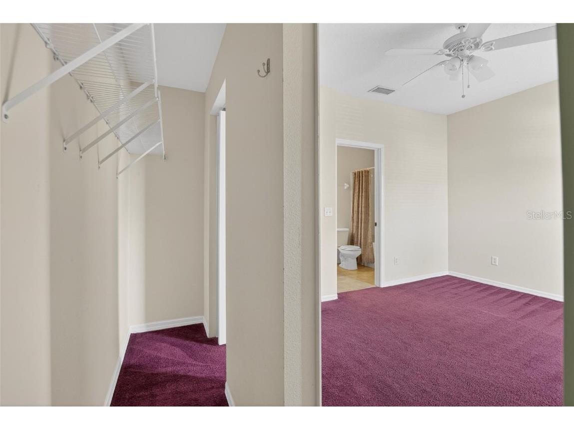 15843 Fishhawk View Drive Lithia FL 33547 TB8453627 image42