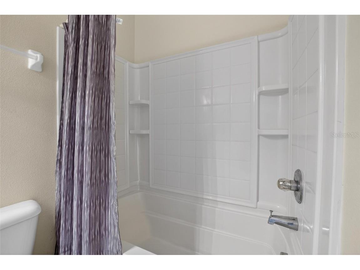 15843 Fishhawk View Drive Lithia FL 33547 TB8453627 image47