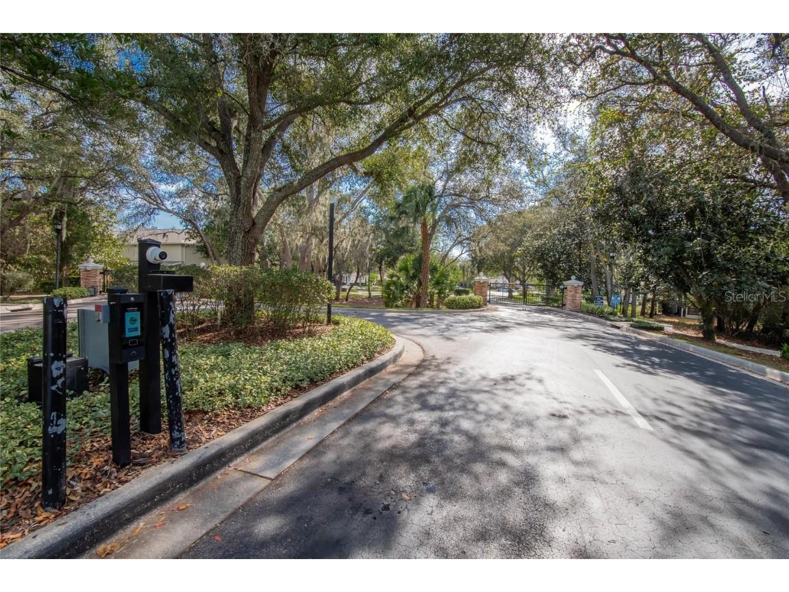 15843 Fishhawk View Drive Lithia FL 33547 TB8453627 image54