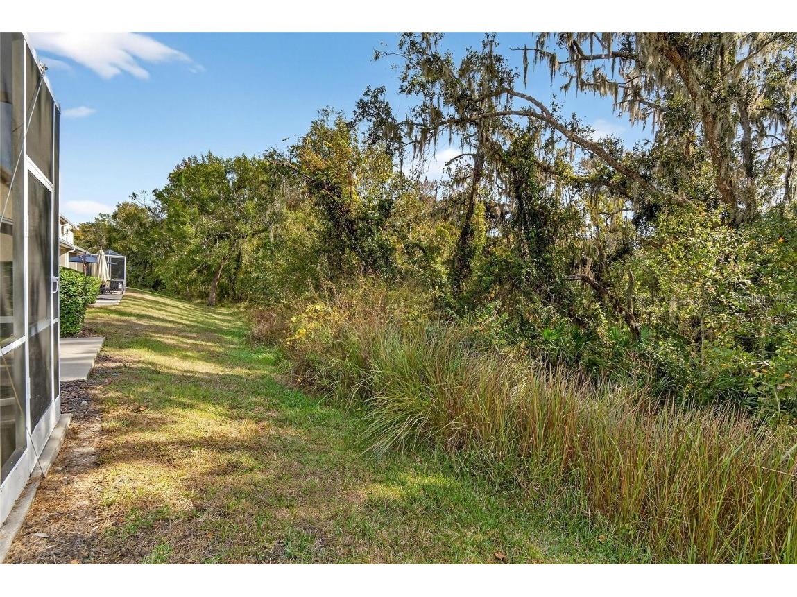 15843 Fishhawk View Drive Lithia FL 33547 TB8453627 image62
