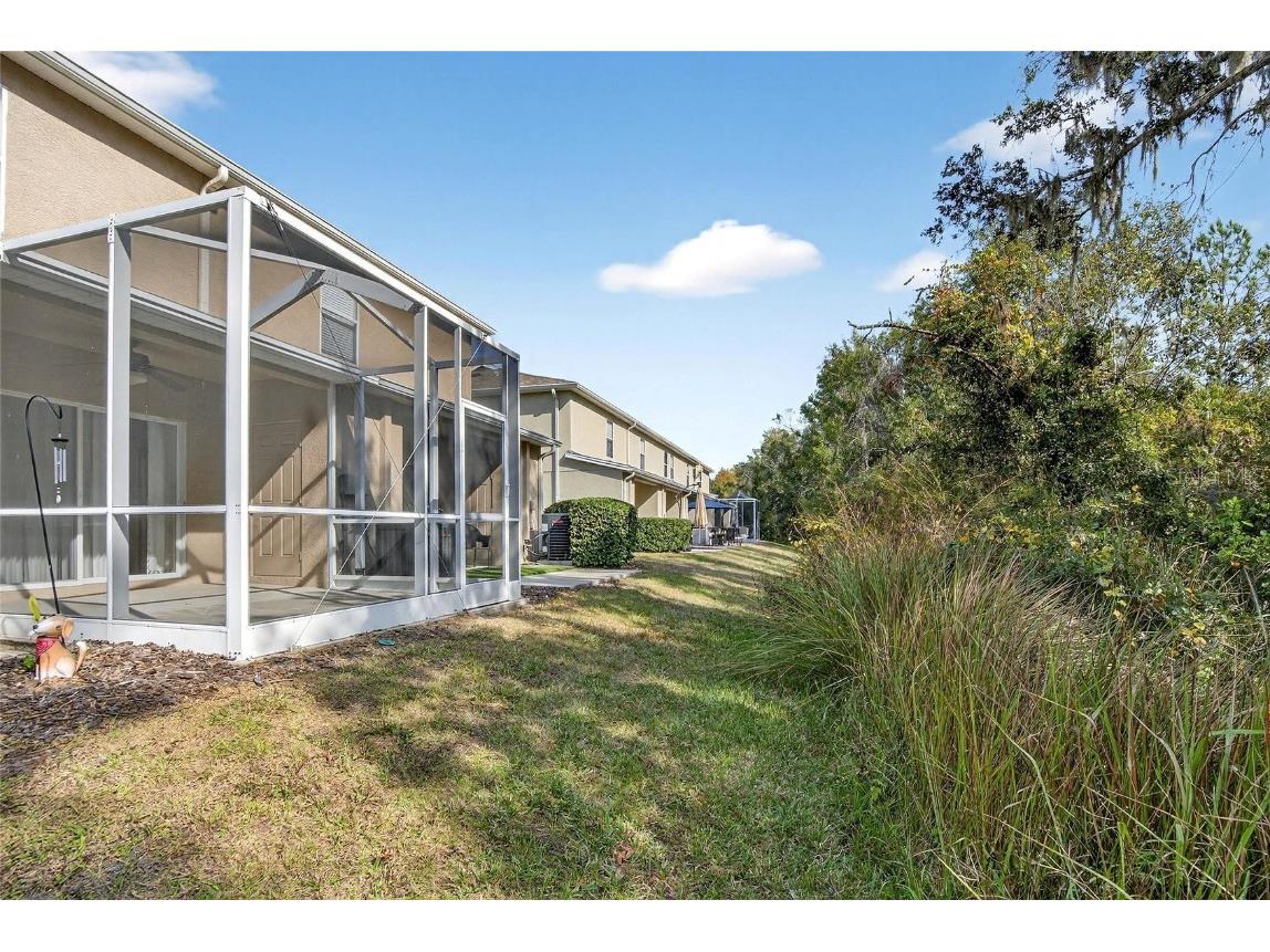 15843 Fishhawk View Drive Lithia FL 33547 TB8453627 image63