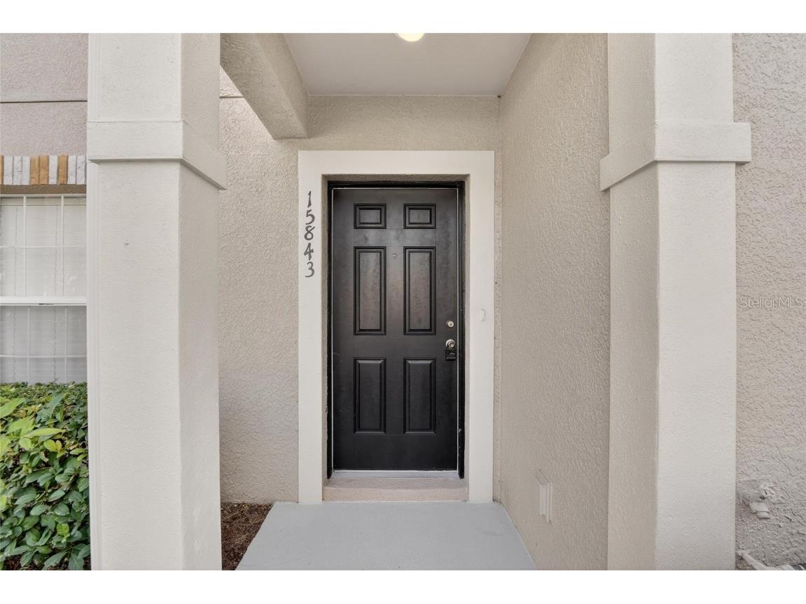 15843 Fishhawk View Drive Lithia FL 33547 TB8453627 image64