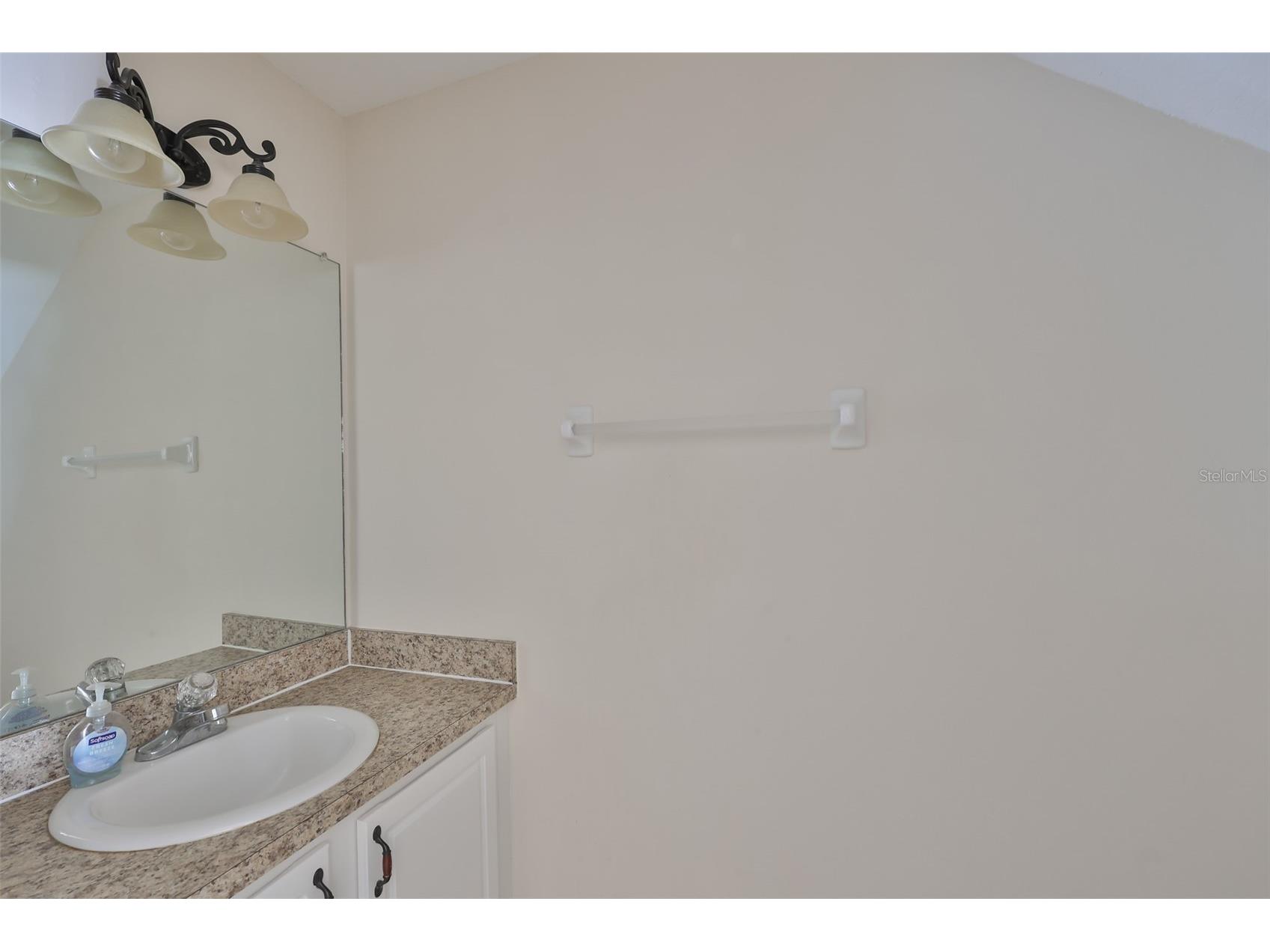 15843 Fishhawk View Drive Lithia FL 33547 TB8489118 image15