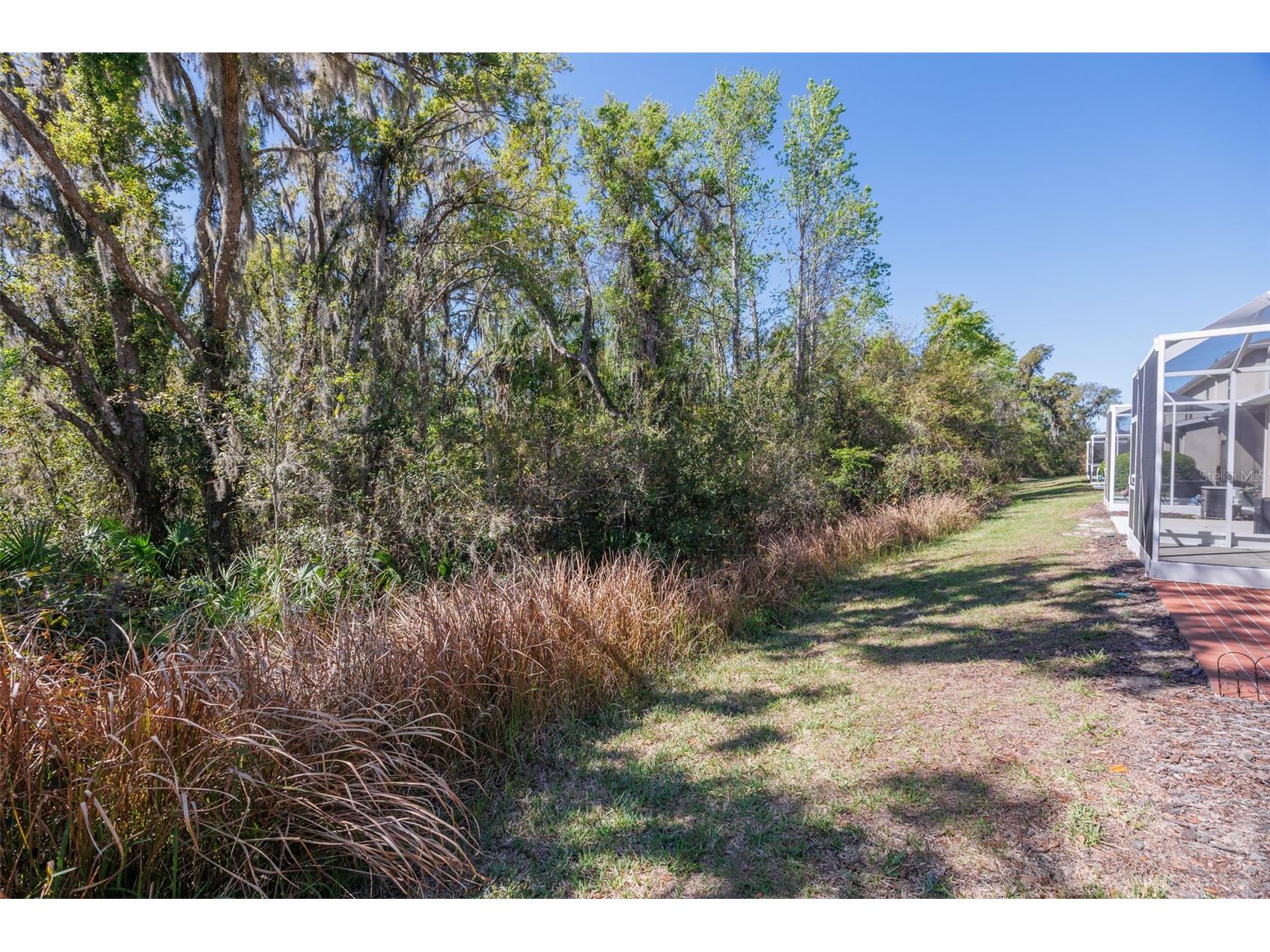 15843 Fishhawk View Drive Lithia FL 33547 TB8489118 image27