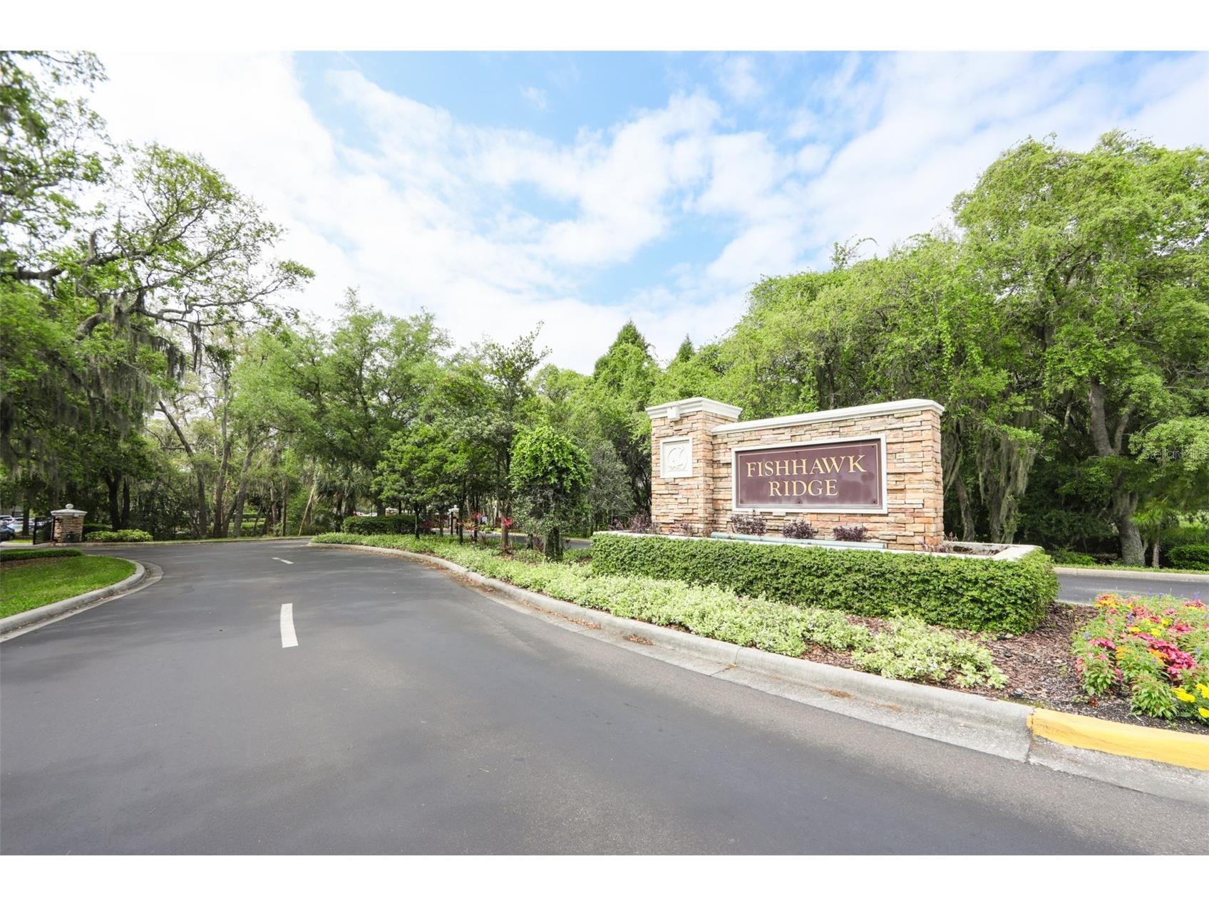 15843 Fishhawk View Drive Lithia FL 33547 TB8489118 image29