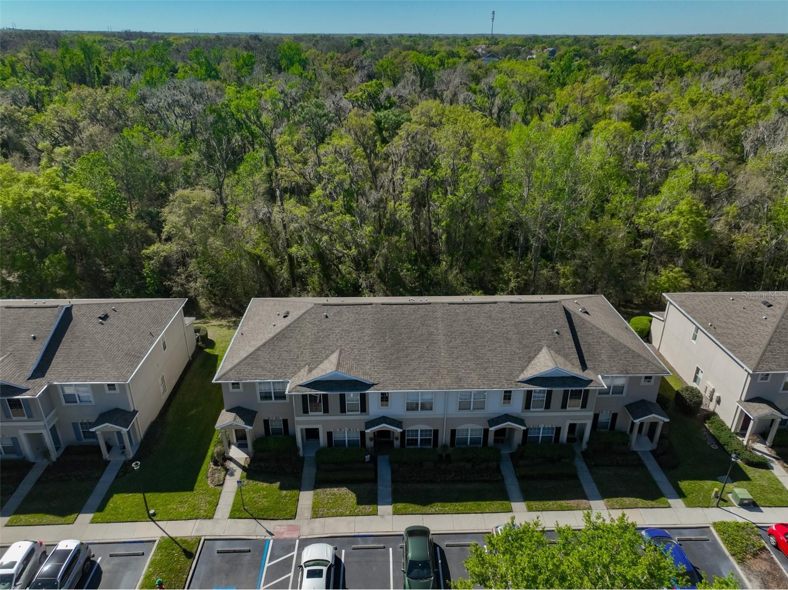 15843 Fishhawk View Drive Lithia FL 33547 TB8489118 image30