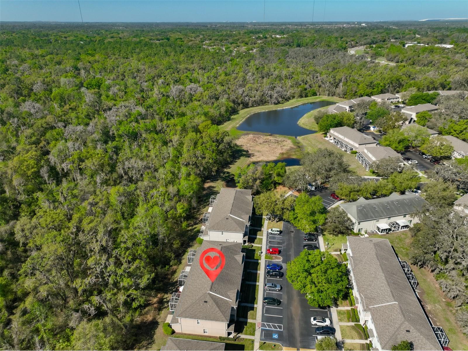 15843 Fishhawk View Drive Lithia FL 33547 TB8489118 image33