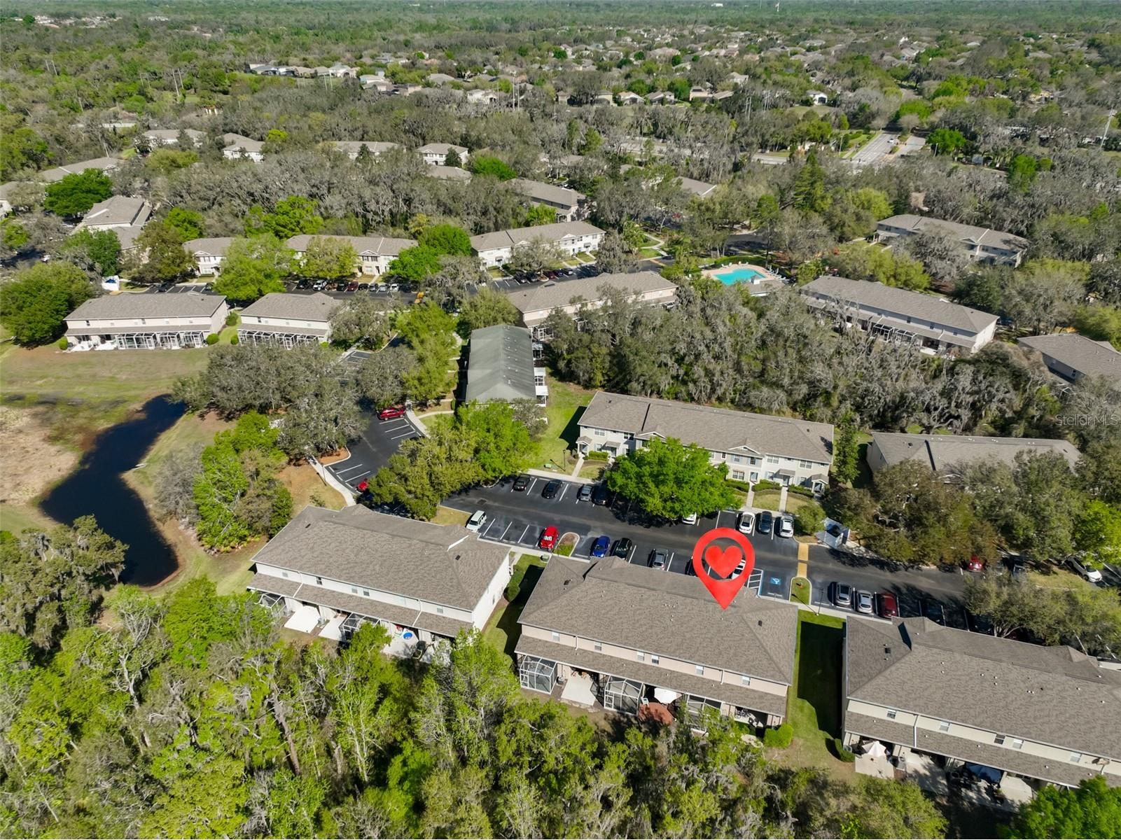 15843 Fishhawk View Drive Lithia FL 33547 TB8489118 image34