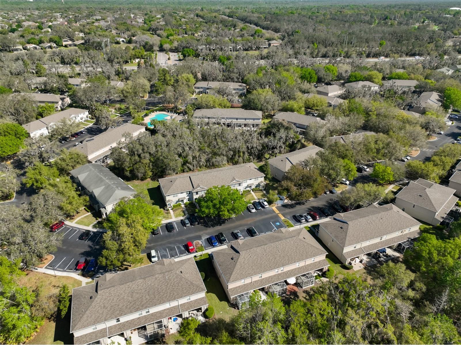 15843 Fishhawk View Drive Lithia FL 33547 TB8489118 image35