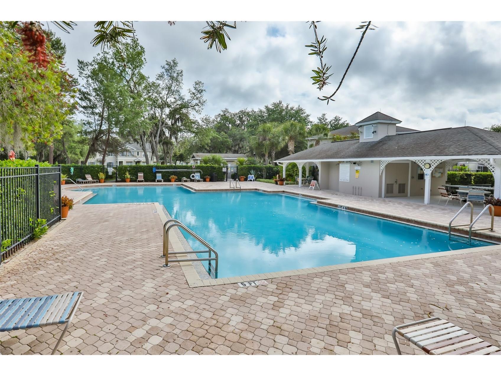 15843 Fishhawk View Drive Lithia FL 33547 TB8489118 image8