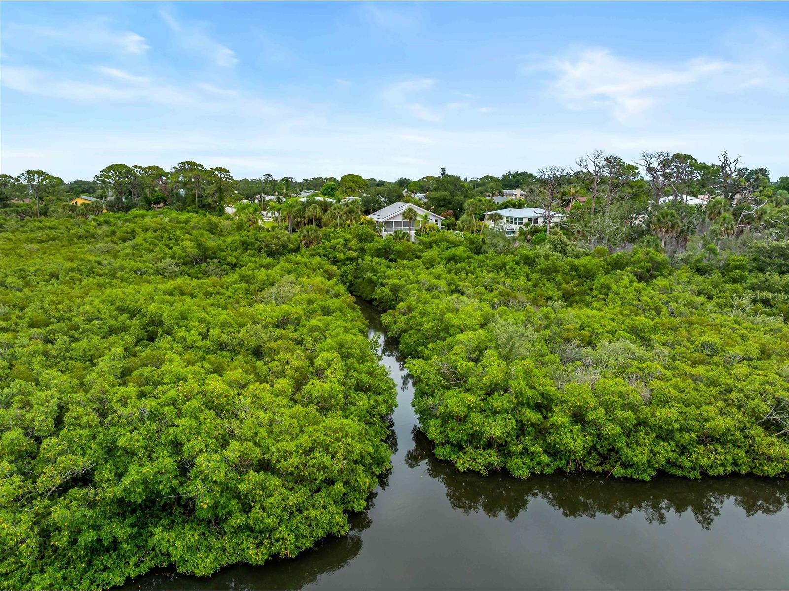 1585 Graham Road Venice FL 34293 N6144672 image62