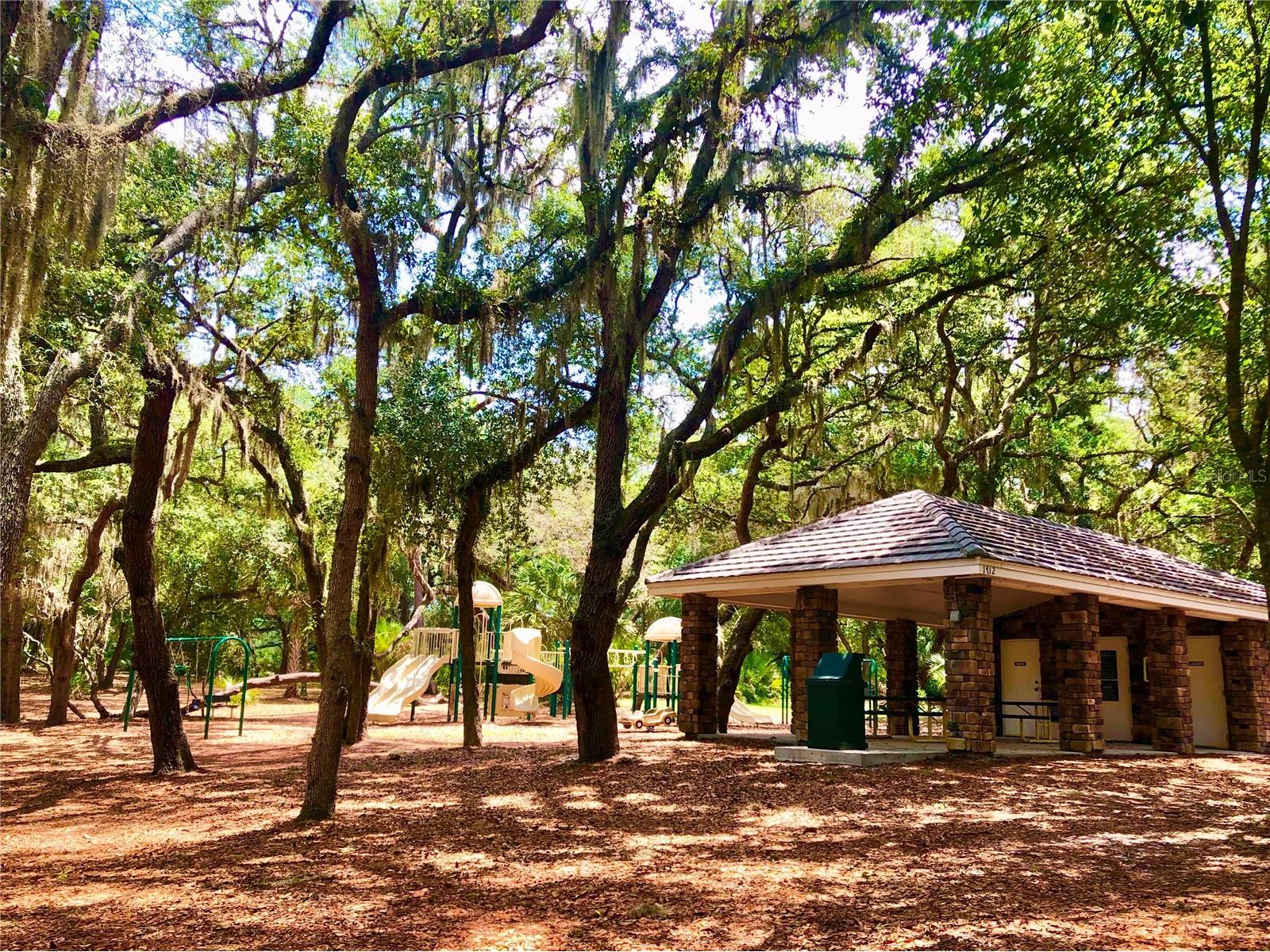 1585 Redwood Grove Terrace Lake Mary FL 32746 O6403115 image46