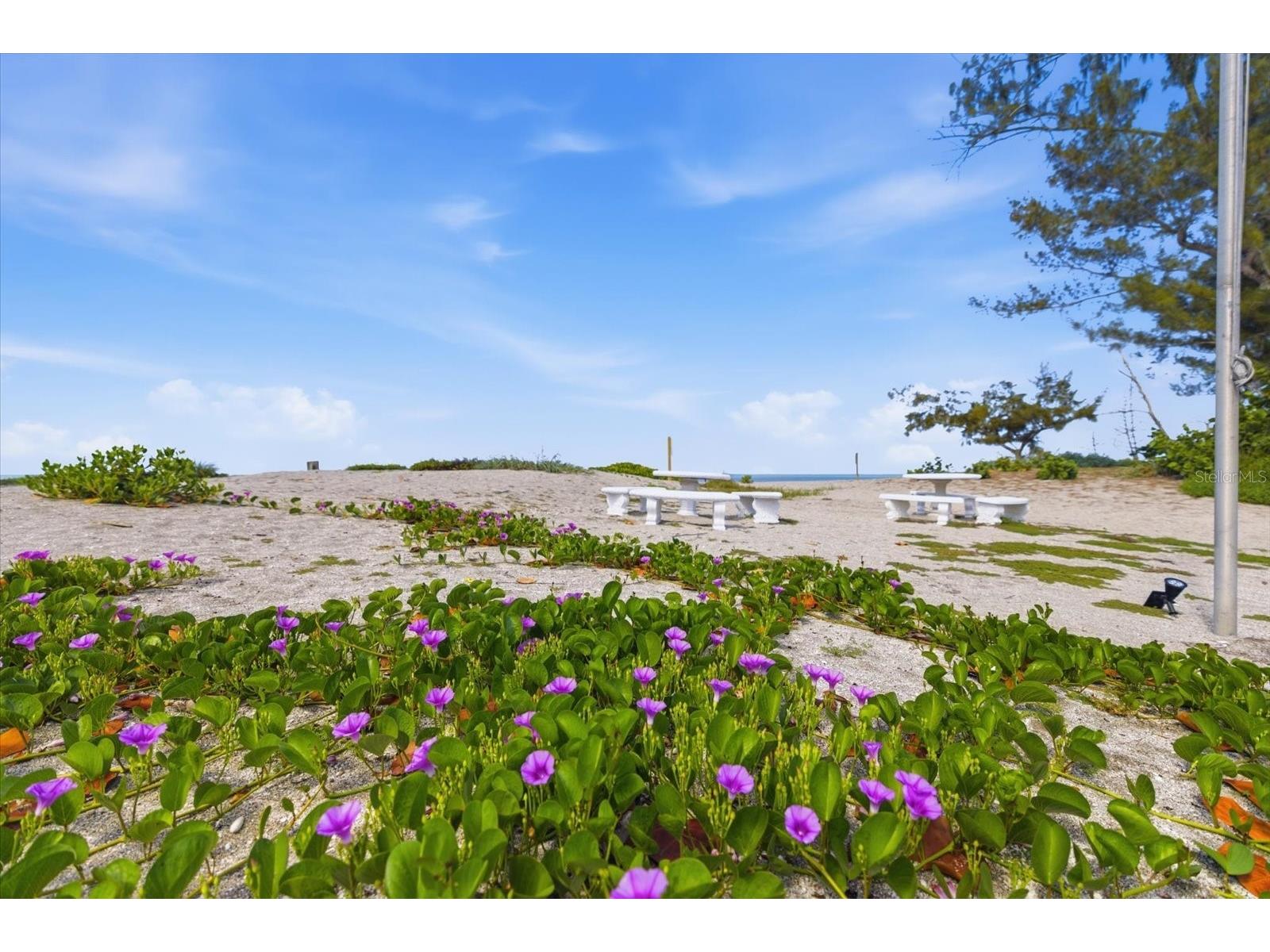1585 Tarpon Center Drive #20 Venice FL 34285 - GULF N6144247 image49