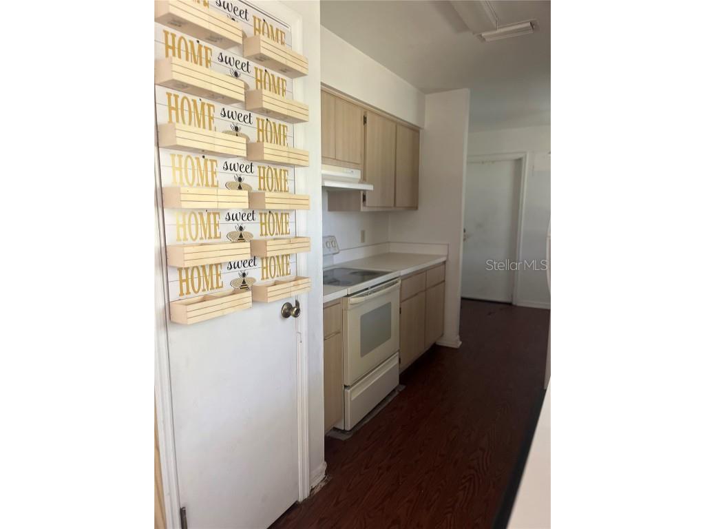 1585 Triangle Drive Mount Dora FL 32757 G5099579 image5