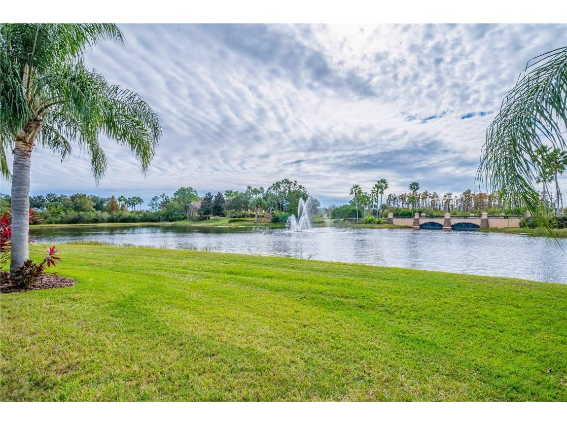 15852 Cobble Mill Drive Wimauma FL 33598 TB8455616 image25