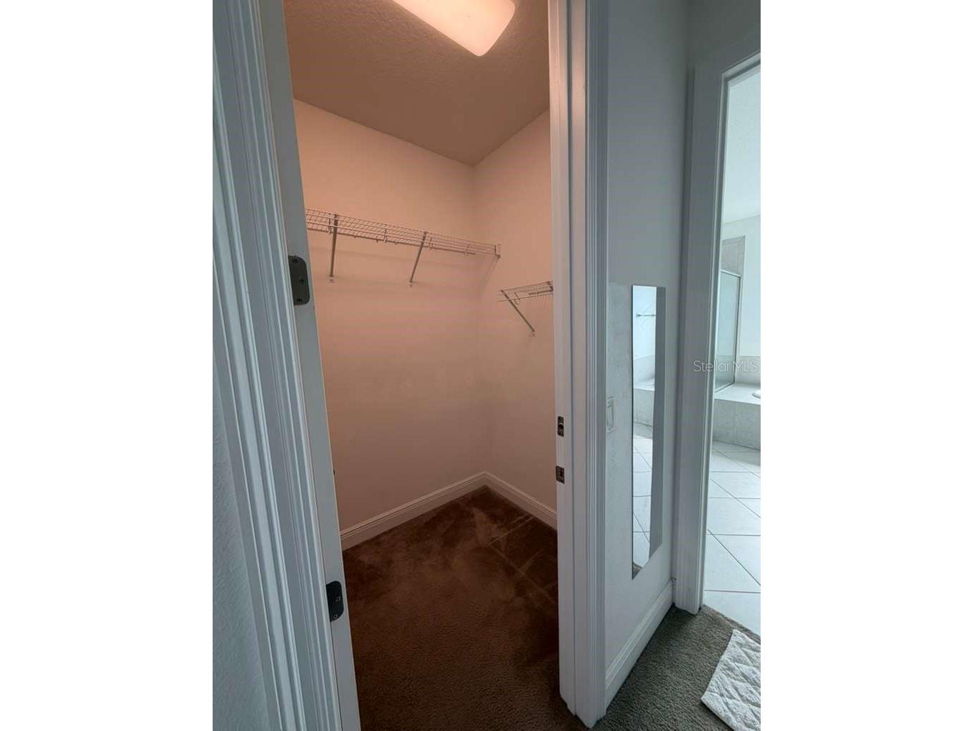 15852 Shorebird Lane Winter Garden FL 34787 O6361580 image64