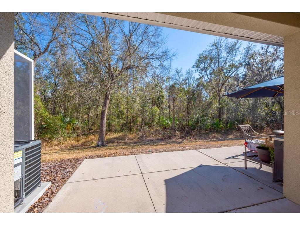15855 Fishhawk View Drive Lithia FL 33547 TB8480348 image21