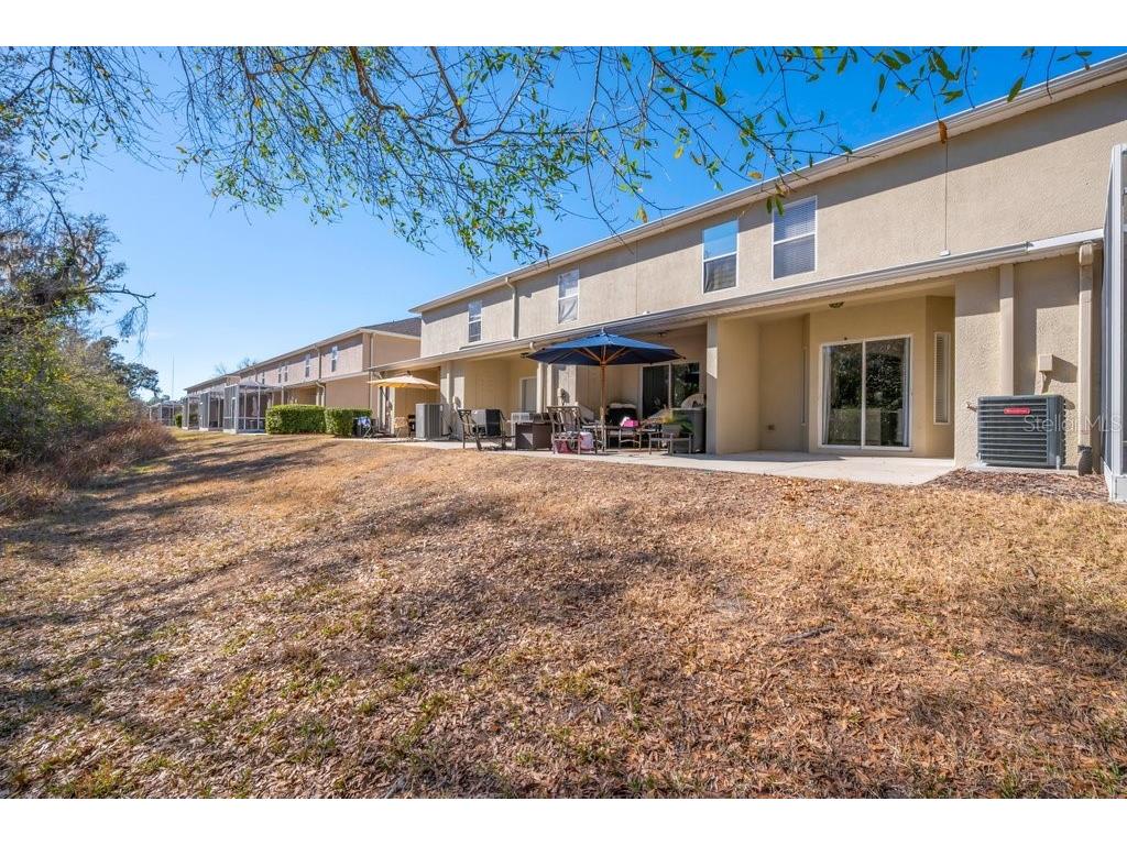 15855 Fishhawk View Drive Lithia FL 33547 TB8480348 image22