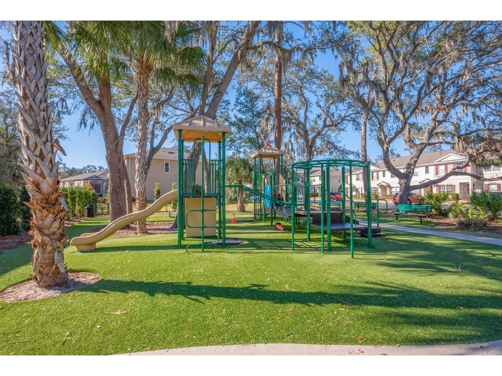 15855 Fishhawk View Drive Lithia FL 33547 TB8480348 image25