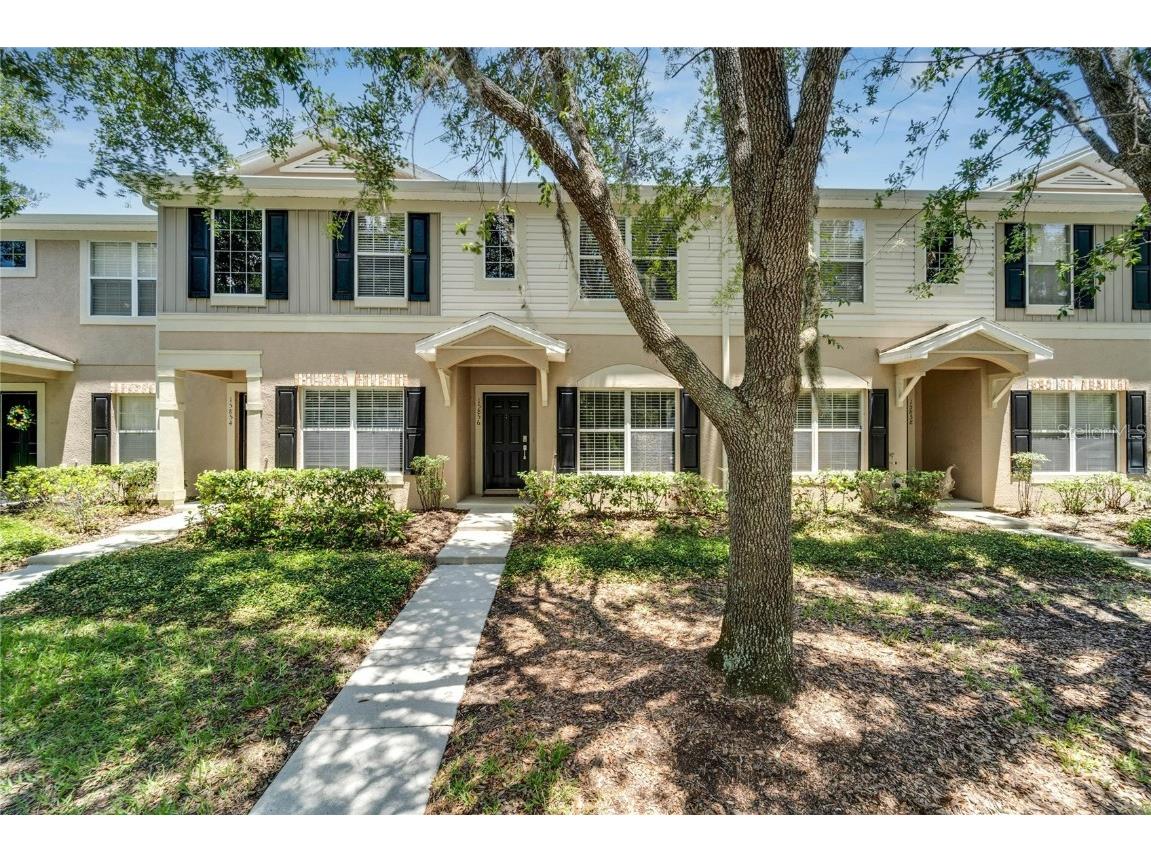 15856 Fishhawk View Drive Lithia FL 33547 T3452071 image1