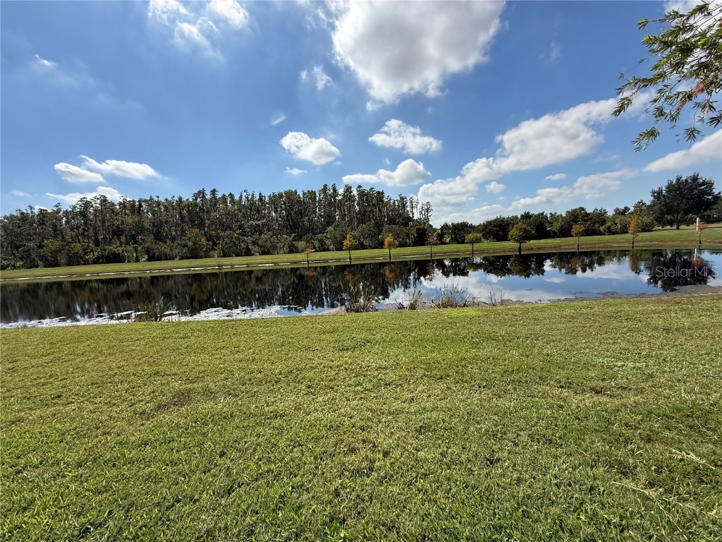 15858 Aurora Lake Circle Wimauma FL 33598 TB8440763 image15
