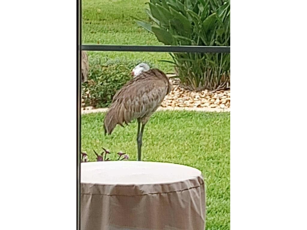 15858 SW 11th Court Road Ocala FL 34473 OM705645 image37