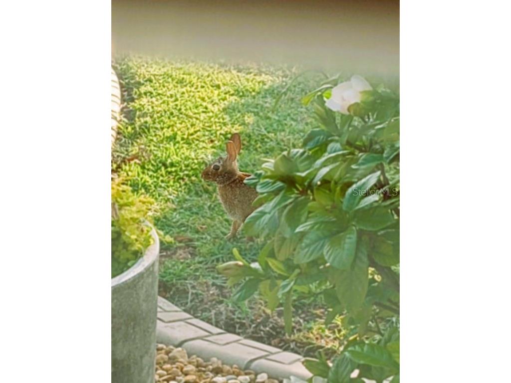 15858 SW 11th Court Road Ocala FL 34473 OM705645 image40