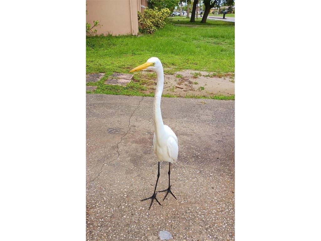 1586 Beacon Drive Port Charlotte FL 33952 O6355922 image25