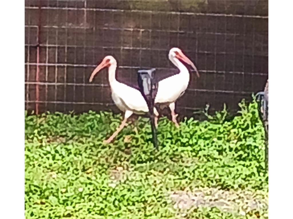 1586 Beacon Drive Port Charlotte FL 33952 O6355922 image26