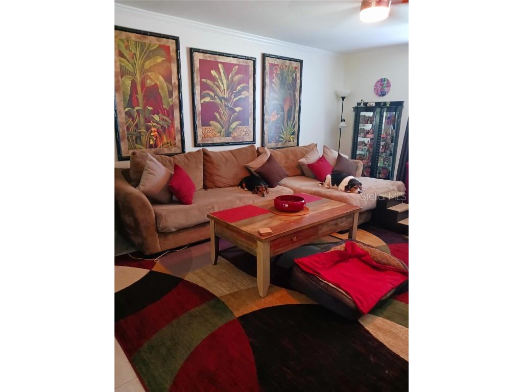 1586 Beacon Drive Port Charlotte FL 33952 O6355922 image9