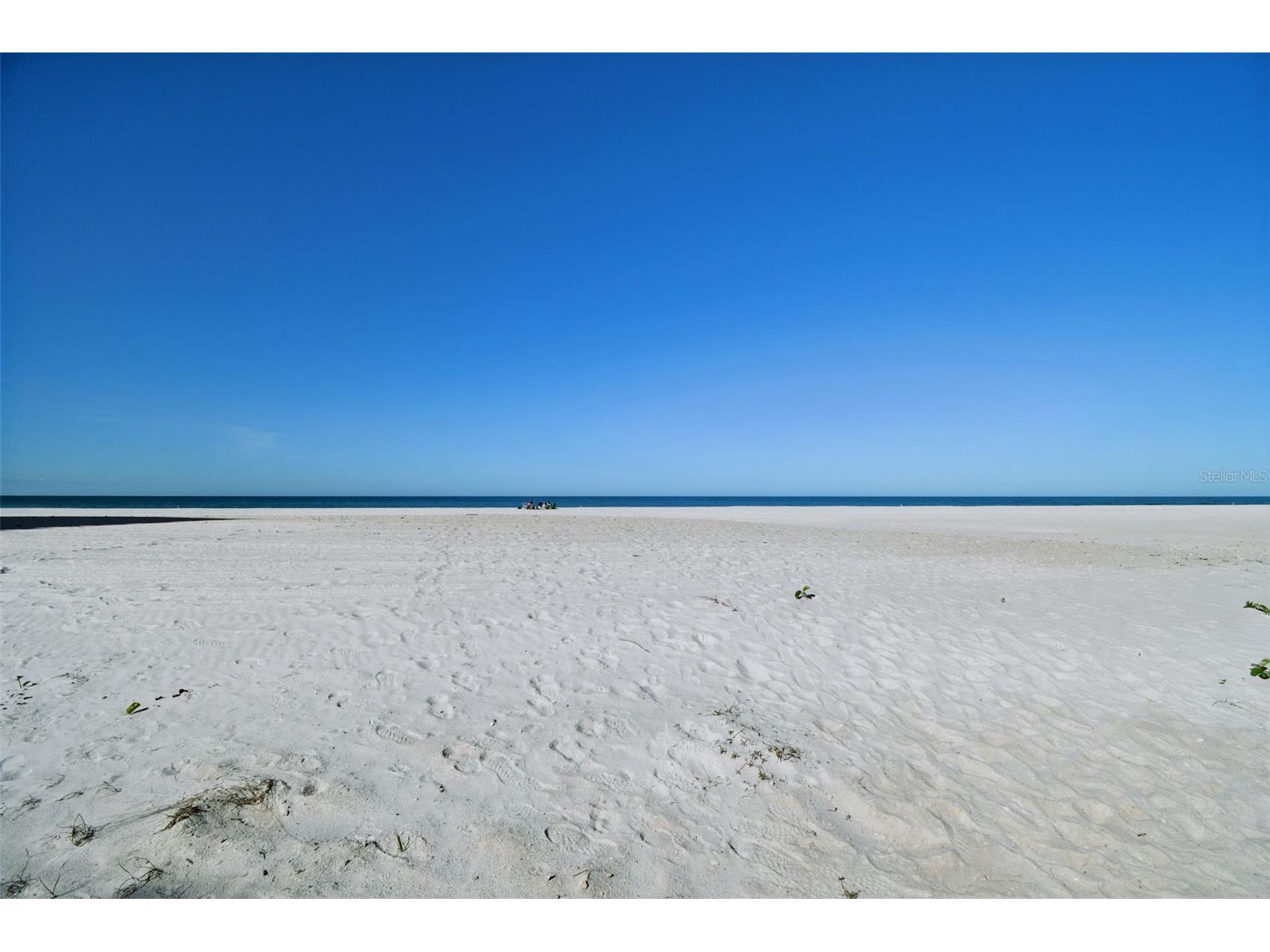 1586 Gulf Boulevard #2502 Clearwater Beach FL 33767 - SAND KEY/GULF OF MEXICO TB8458105 image9