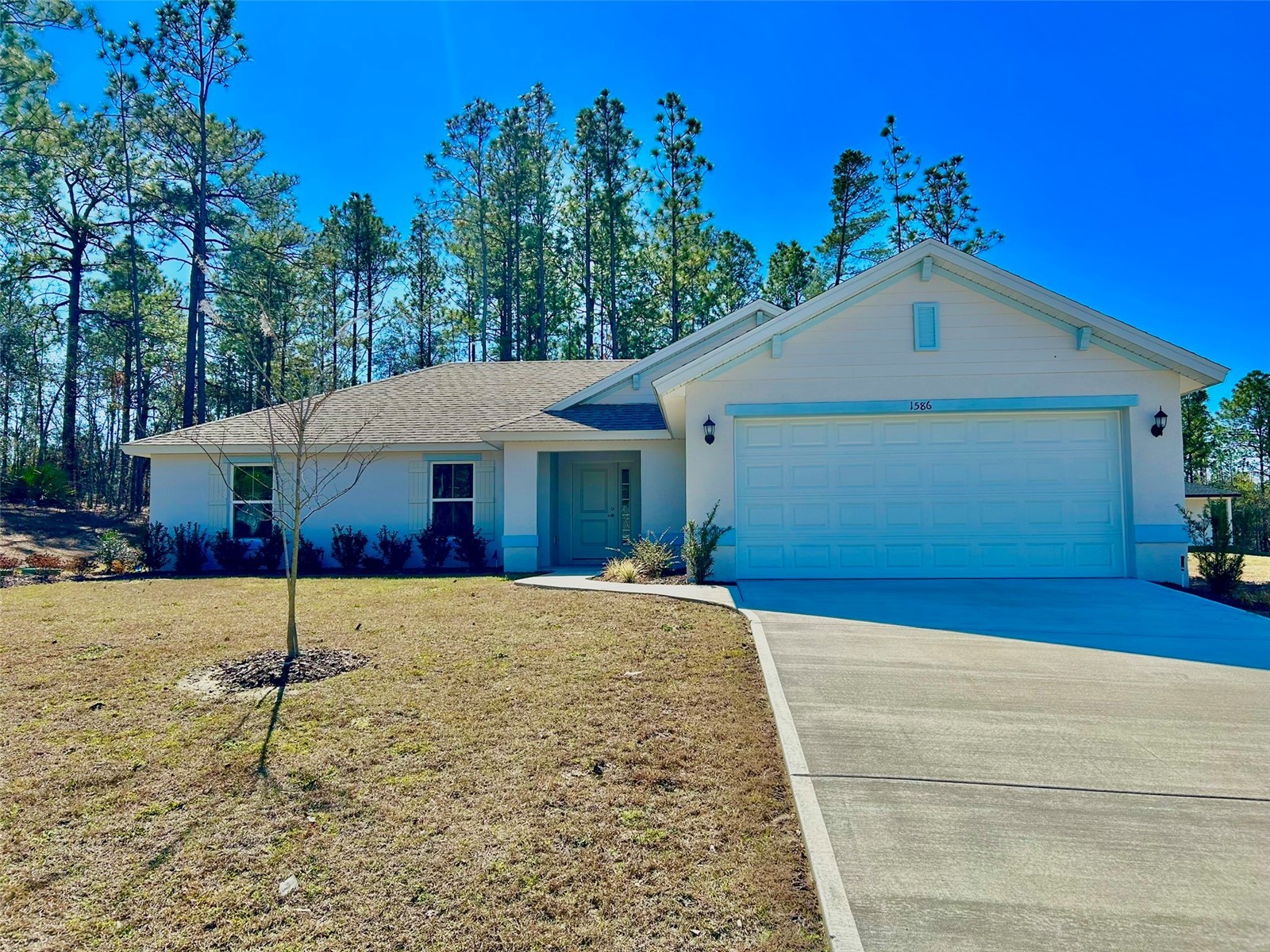 1586 W Gainsboro Lane Citrus Springs FL 34434 OM718033 image1