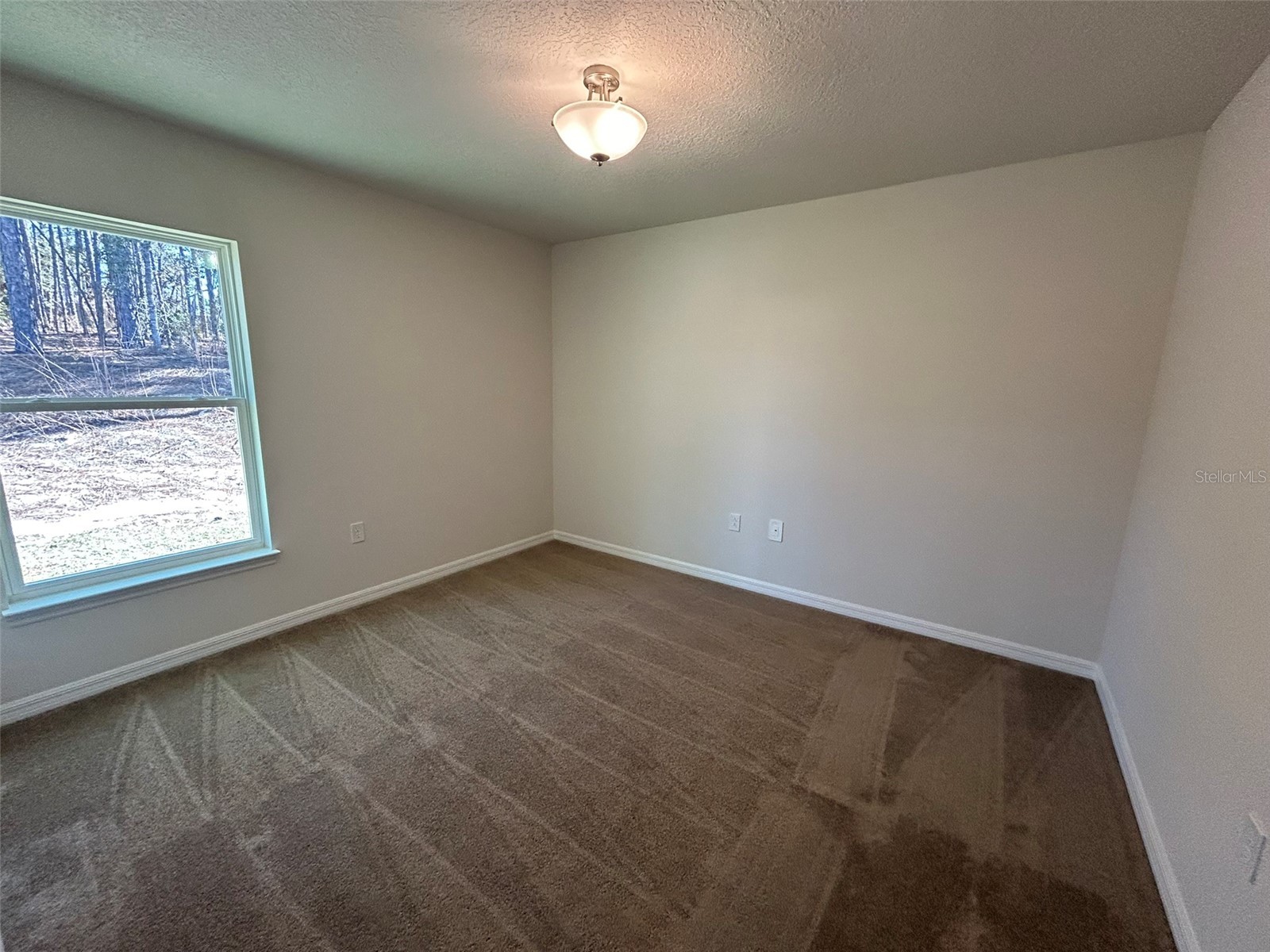 1586 W Gainsboro Lane Citrus Springs FL 34434 OM718033 image15