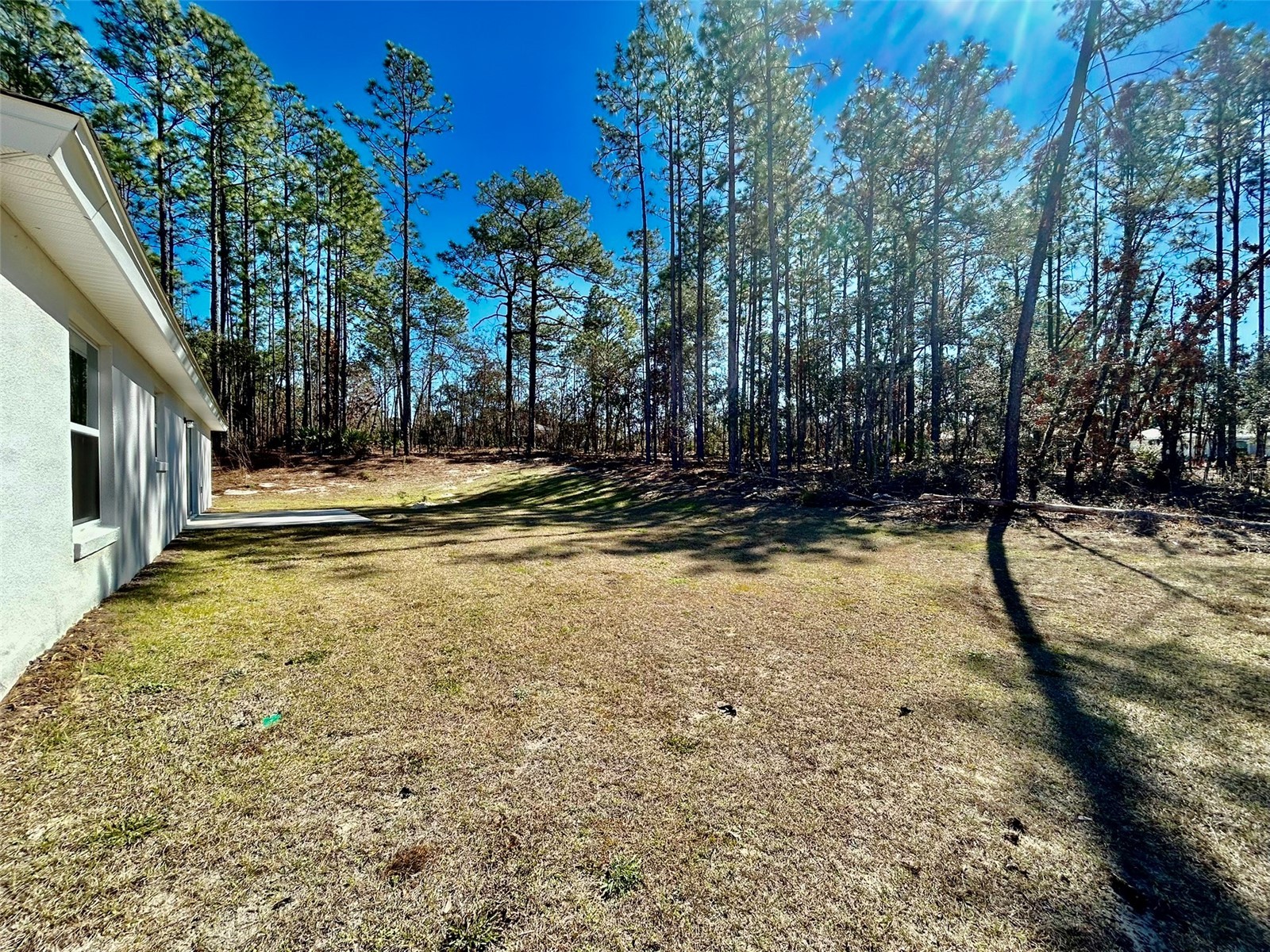 1586 W Gainsboro Lane Citrus Springs FL 34434 OM718033 image27
