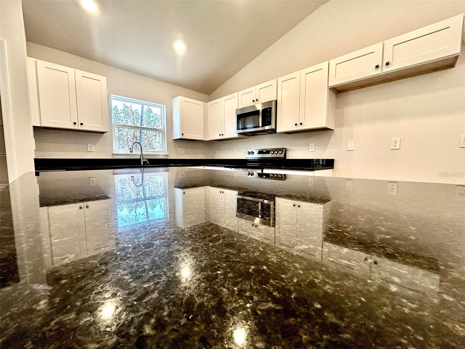 1586 W Gainsboro Lane Citrus Springs FL 34434 OM718033 image8
