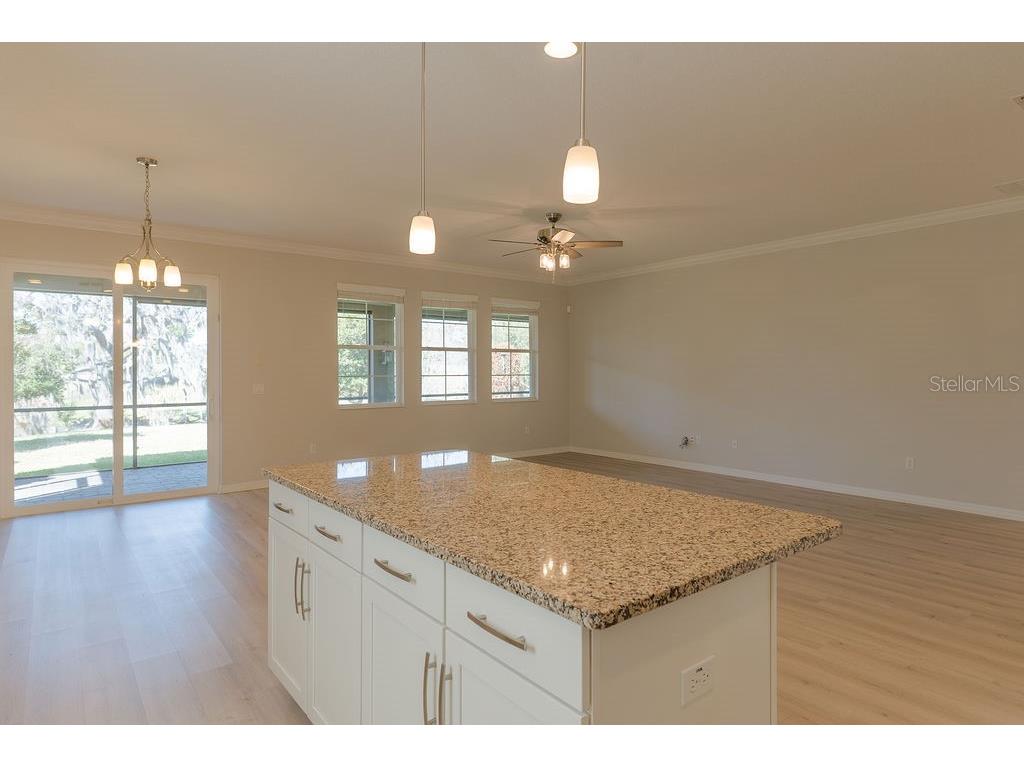 15862 Citrus Grove Loop Winter Garden FL 34787 O6386634 image13