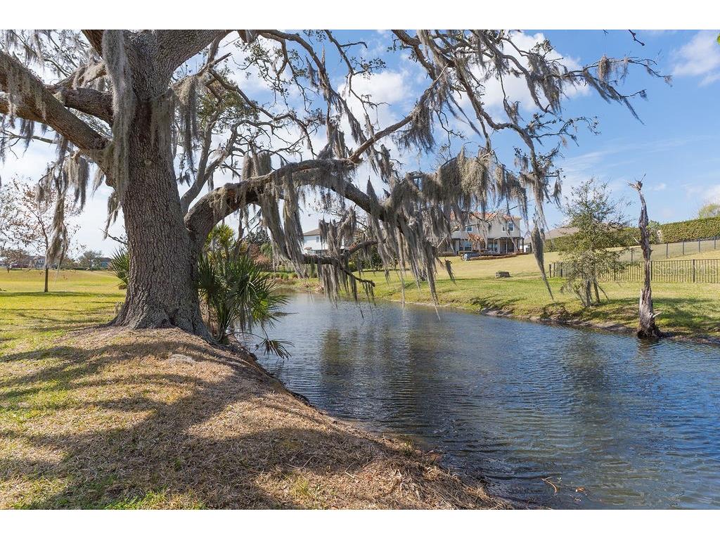 15862 Citrus Grove Loop Winter Garden FL 34787 O6386634 image26