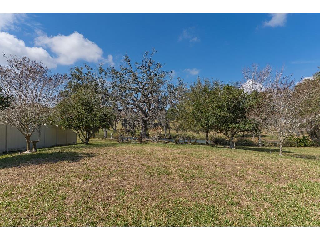 15862 Citrus Grove Loop Winter Garden FL 34787 O6386634 image28