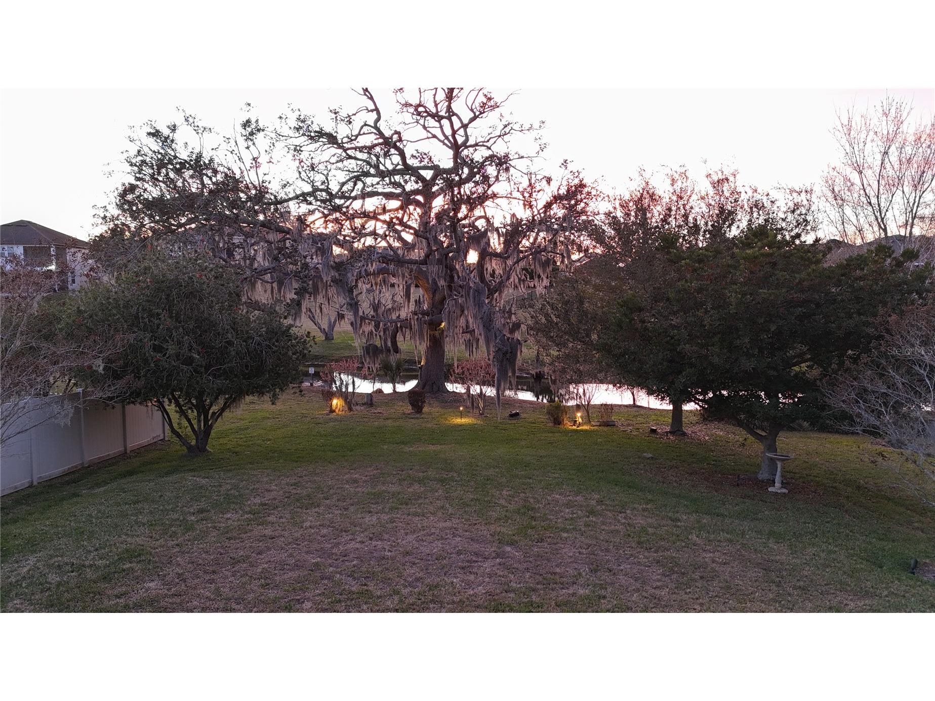 15862 Citrus Grove Loop Winter Garden FL 34787 O6386634 image29