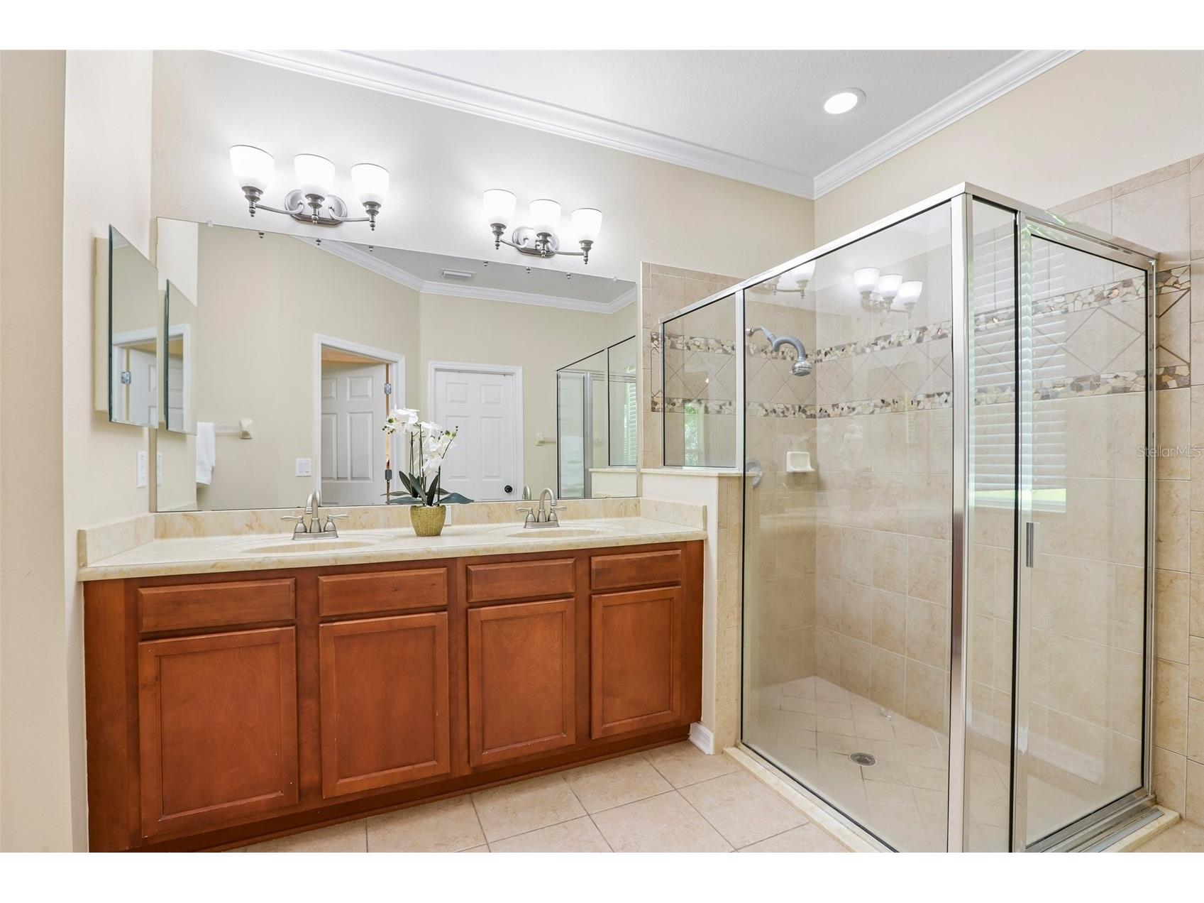 15863 Starling Water Drive Lithia FL 33547 TB8517195 image14