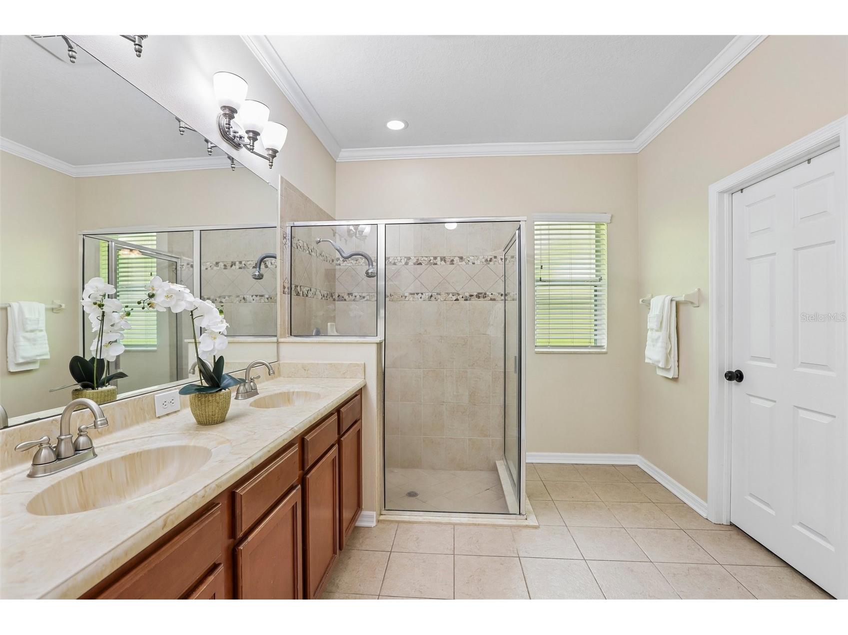 15863 Starling Water Drive Lithia FL 33547 TB8517195 image15