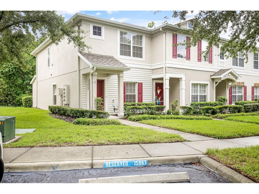 15867 Fishhawk View Drive Lithia FL 33547 T3549194 image1