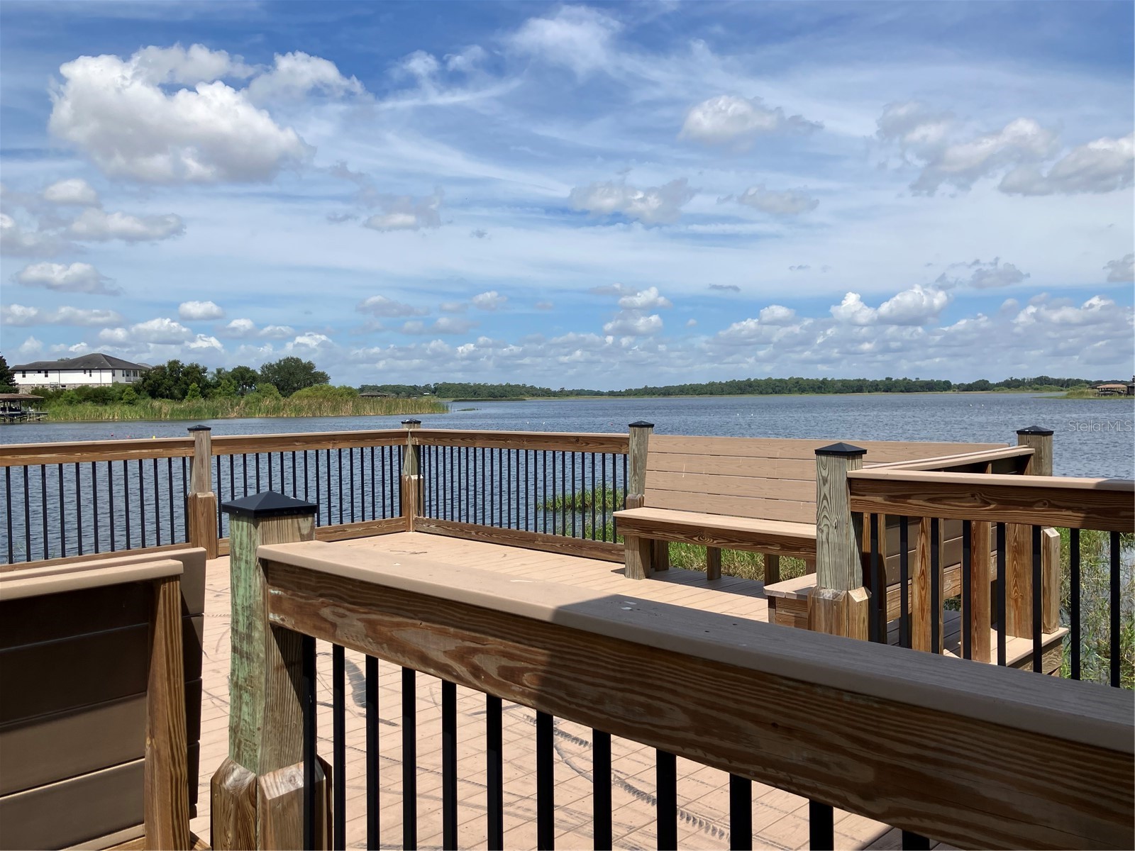 15878 Citrus Grove Loop Winter Garden FL 34787 O6418239 image54