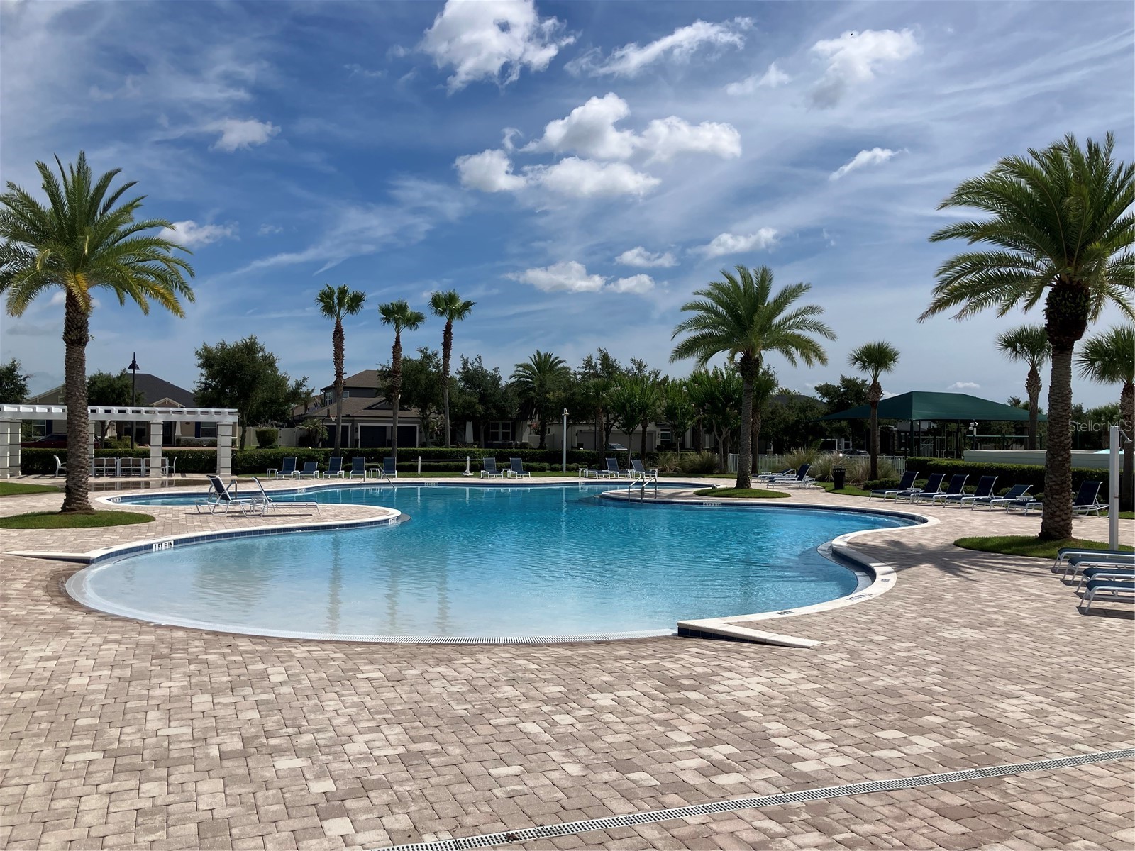 15878 Citrus Grove Loop Winter Garden FL 34787 O6418239 image56