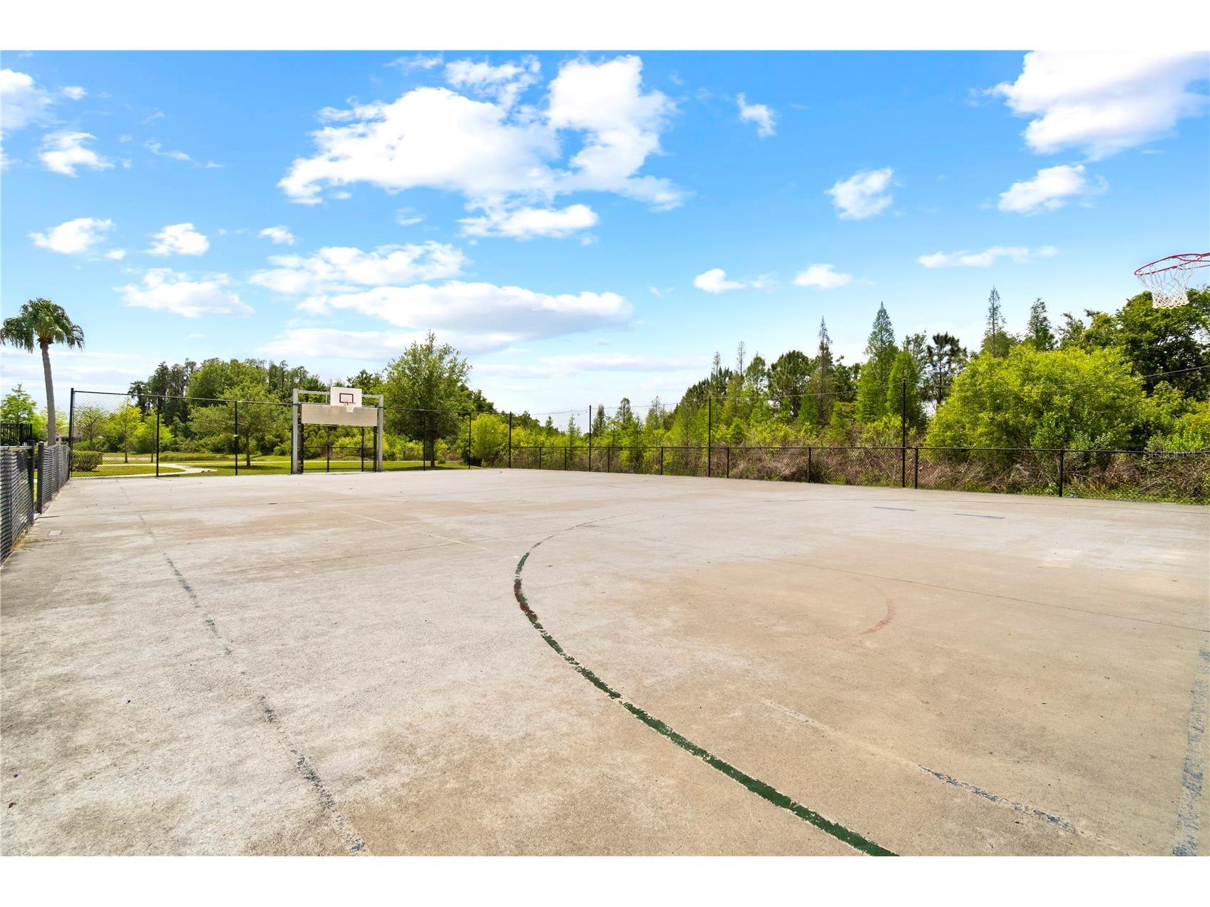 1588 Ludington Avenue Wesley Chapel FL 33543 OM722728 image46